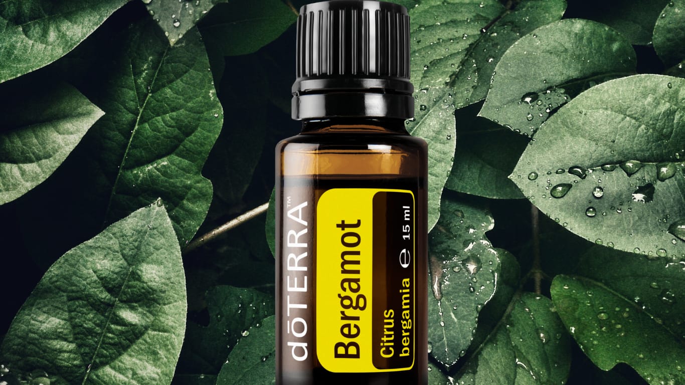 Ulei de bergamota