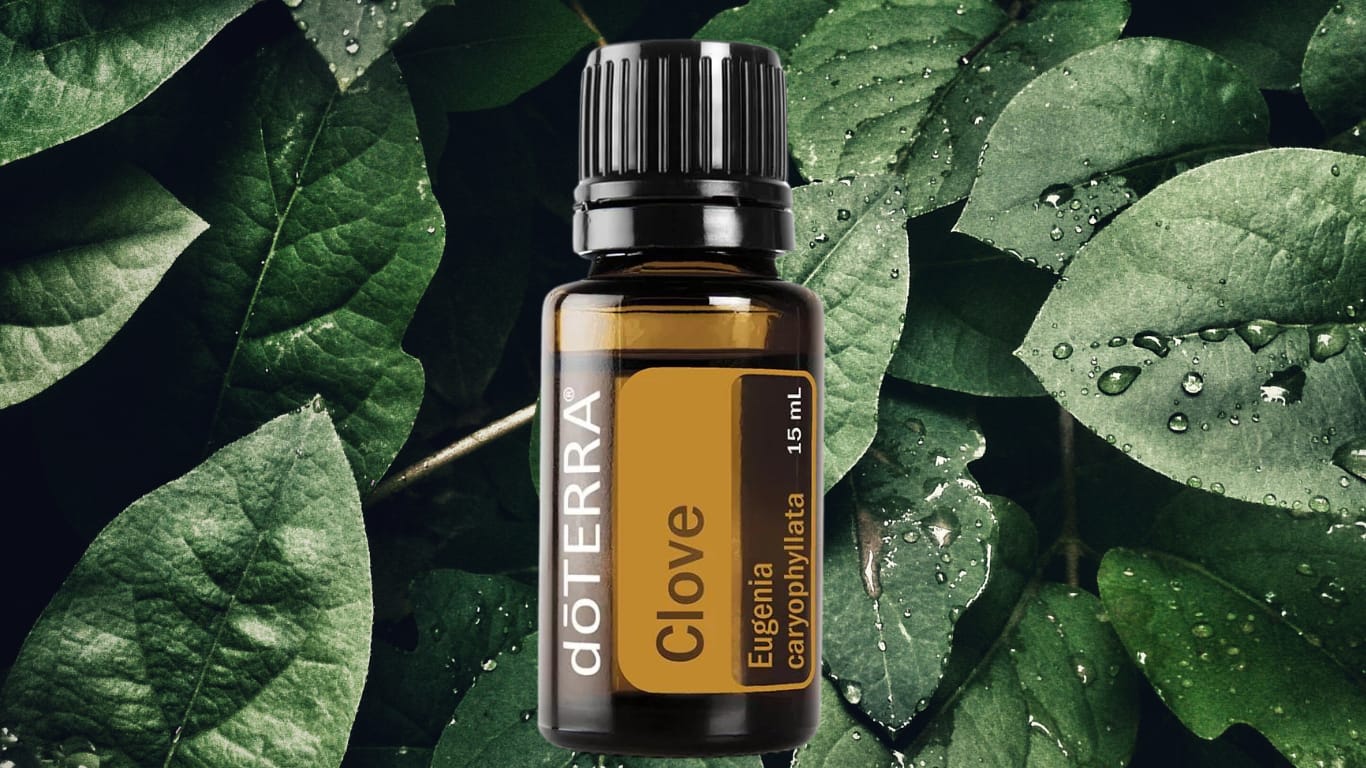 Ulei esențial de cuișoare