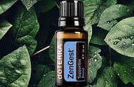 ZenGest