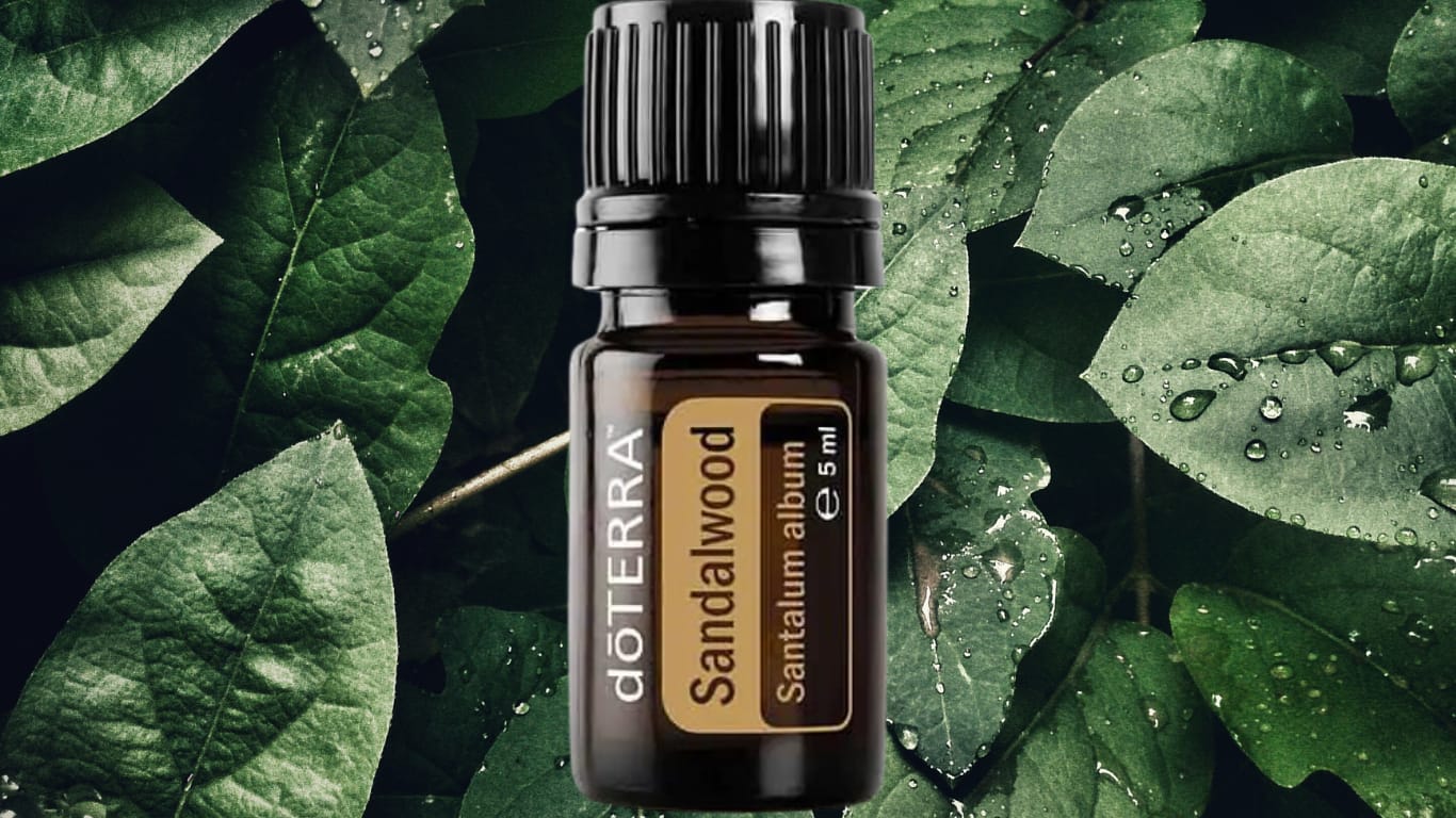 Ulei esențial de santal