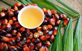Beneficiile uleiului de palmier